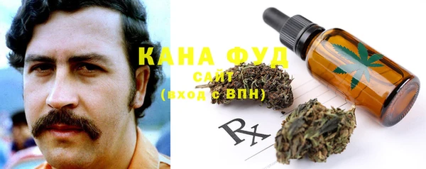 ГАЛЛЮЦИНОГЕННЫЕ ГРИБЫ Вяземский