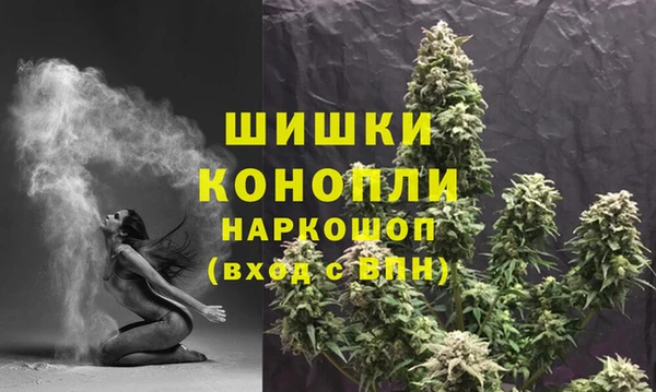 соль ск Волосово